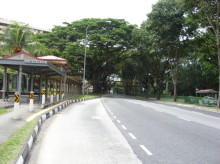 Ang Mo Kio Avenue 1 #85782